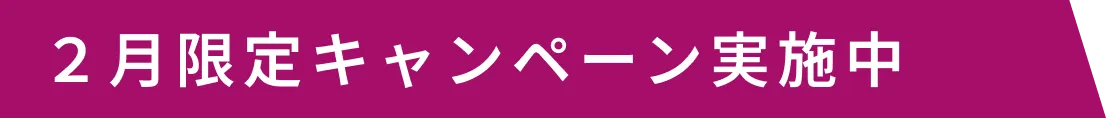 2月限定キャンペーン実施中